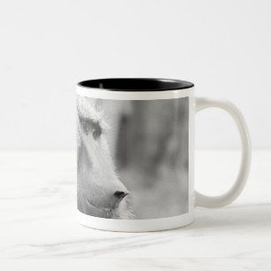 Afrikanischer Pavian Zweifarbige Tasse