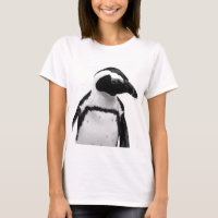 Afrikanischer Pinguin auf Flussstein-Strand in