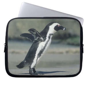 Afrikanischer Pinguin Laptopschutzhülle