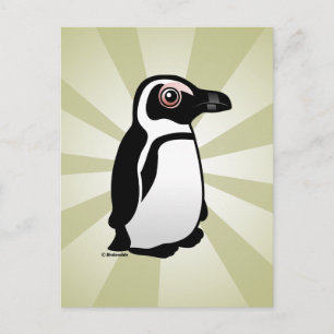 Afrikanischer Pinguin Postkarte