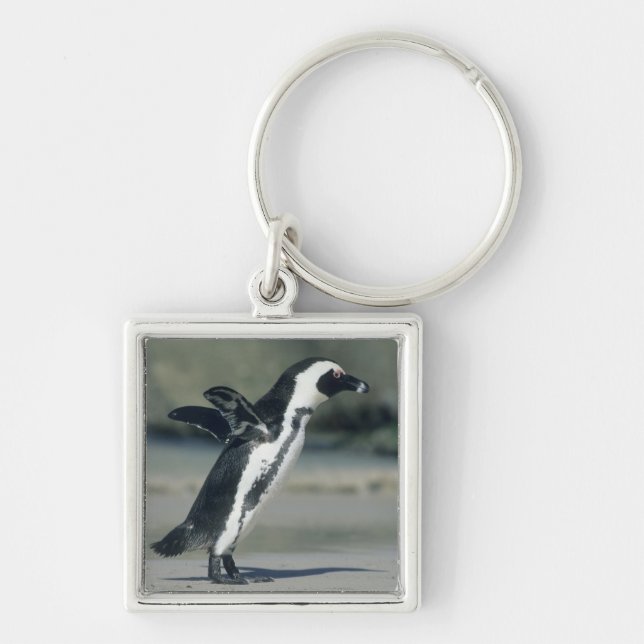 Afrikanischer Pinguin Schlüsselanhänger (Vorne)