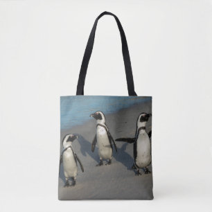 Afrikanischer Pinguine Spheniscus Demersus