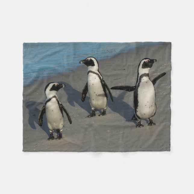 Afrikanischer Pinguine| Spheniscus Demersus Fleecedecke (Vorderseite (Horizontal))