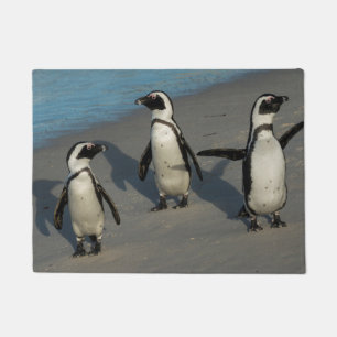 Afrikanischer Pinguine  Spheniscus Demersus Fußmatte