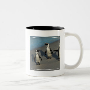 Afrikanischer Pinguine Spheniscus Demersus Zweifarbige Tasse