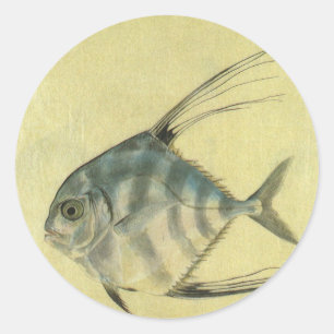 Afrikanischer Pompano-Fisch, Vintage Fadenflossen- Runder Aufkleber