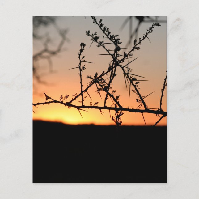 Afrikanischer Sonnenuntergang Flyer (Vorne)
