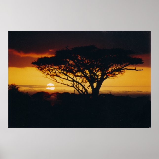 afrikanischer Sonnenuntergang Poster (Vorne)
