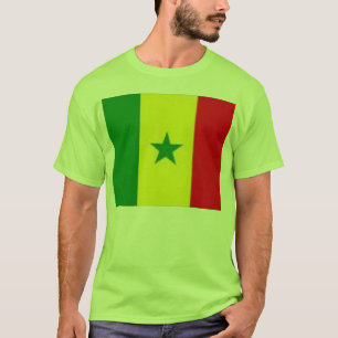 Afrikanischer Stolz T-Shirt
