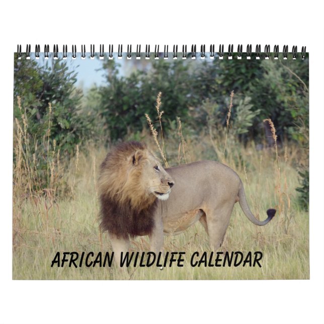 AFRIKANISCHER TIER-KALENDER KALENDER (Titelbild)