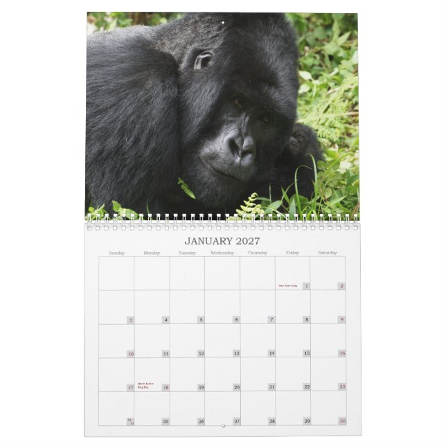 Afrikanischer Tierkalender 2013 Kalender (Jan 2027)