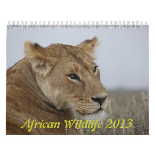Afrikanischer Tierkalender 2013 Kalender