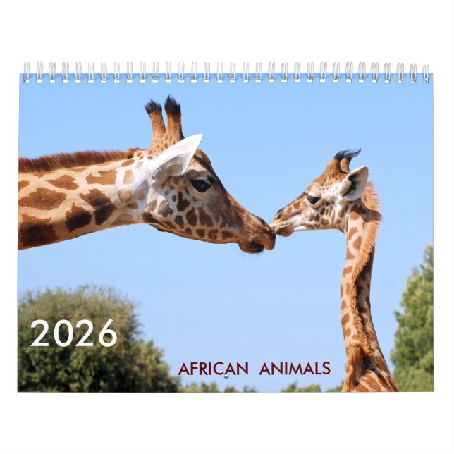 afrikanischer Tierkalender Kalender (Titelbild)