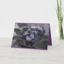 Afrikanischer VioletGeburtstag