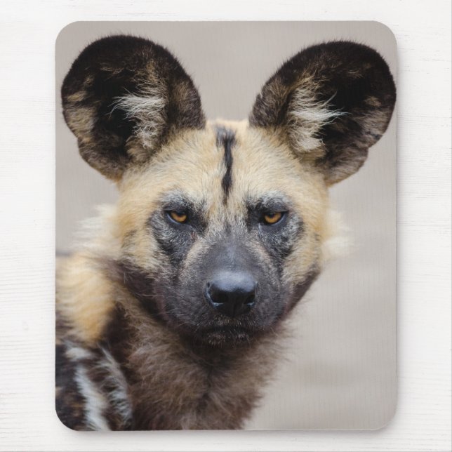 Afrikanischer Wildhund (Gemalter Hund) Mousepad (Vorne)