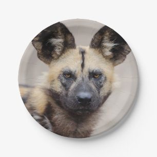 Afrikanischer Wildhund (Gemalter Hund) Pappteller