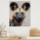 Afrikanischer Wildhund (Gemalter Hund) Poster (Kitchen)