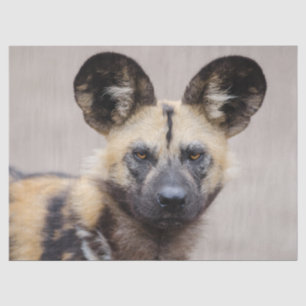 Afrikanischer Wildhund (Gemalter Hund) Seidenpapier