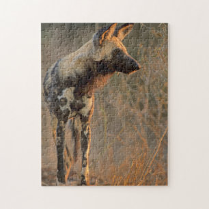 Afrikanischer Wildhund (Lycaon Pictus), Krüger Puzzle