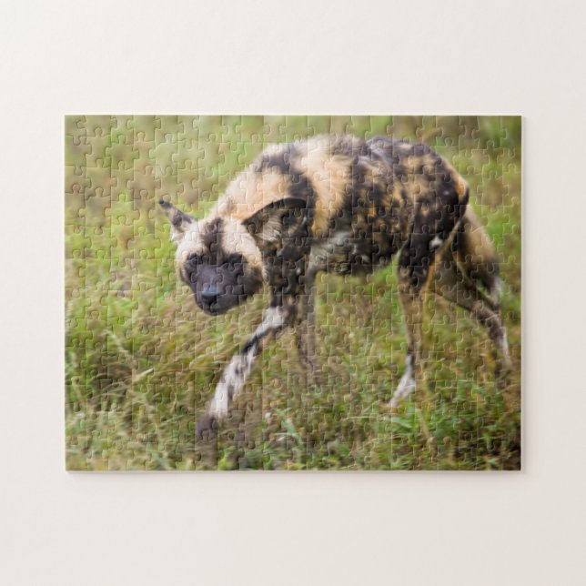 Afrikanischer Wildhund (Lycaon Pictus), Madikwe Ga Puzzle (Horizontal)