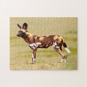 Afrikanischer Wildhund (Lycaon Pictus) stehend Puzzle
