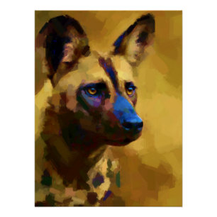 Afrikanischer Wildhund Poster