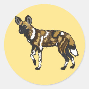 Afrikanischer Wildhund Runder Aufkleber