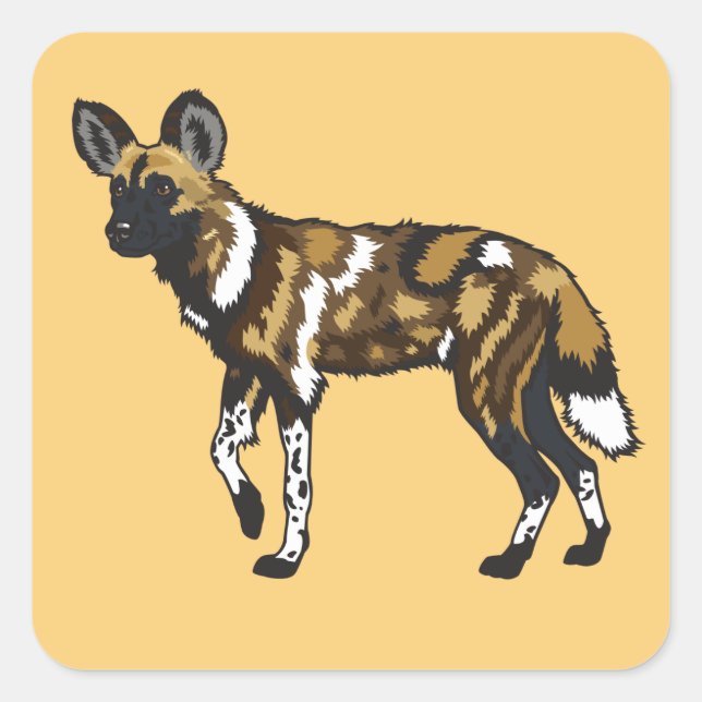 Afrikanischer Wildhund. Wild Afrika Quadratischer Aufkleber (Vorderseite)