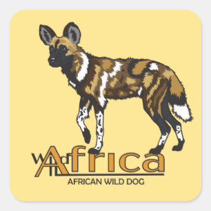 Afrikanischer Wildhund. Wild Afrika Quadratischer Aufkleber