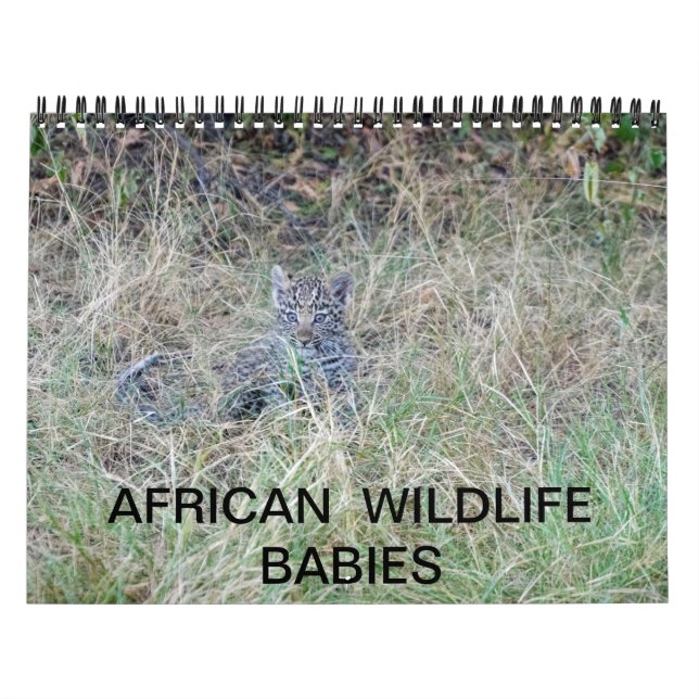 AFRIKANISCHER WILDLIFE-BABIEN-Kalender Kalender (Titelbild)