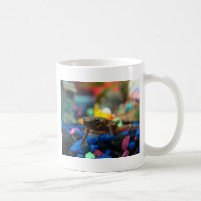 Afrikanischer zwergartiger Frosch Kaffeetasse (Rechts)