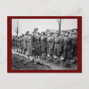 Afrikanisches amerikanisches Büro Inspektoren Postkarte