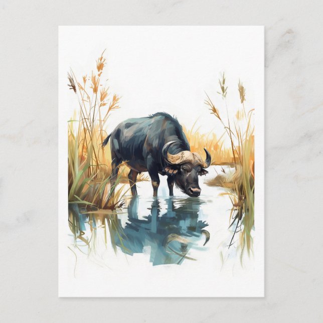 Afrikanisches Buffalo am Wasser Feiertagspostkarte (Vorderseite)