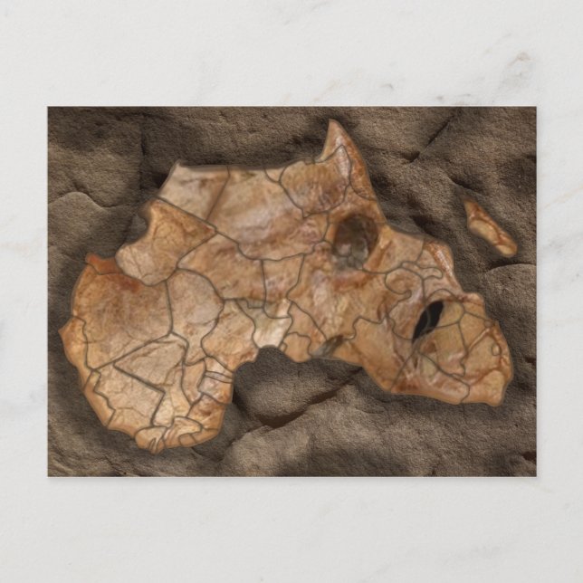 Afrikanisches Dinosaurier-Fossil Postkarte (Vorderseite)