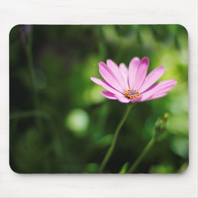 Afrikanisches Disy Mousepad (Vorne)