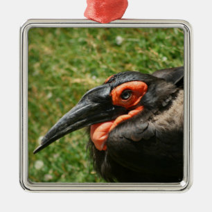 Afrikanisches Erdhornbill-Ornament Ornament Aus Metall
