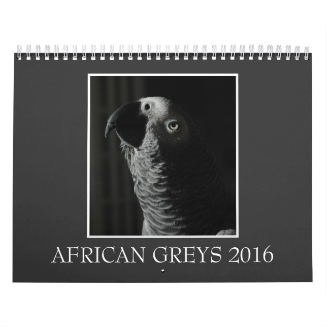 Afrikanisches Grau-Papageien-Kalender 2016 des Kalender (Titelbild)