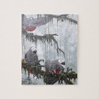 Afrikanisches Grau plappert frei fliegen nach Puzzle