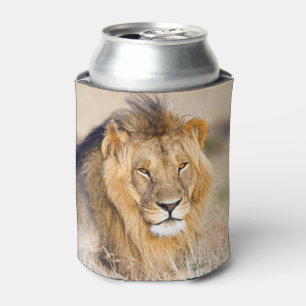 Afrikanisches Lion Safari-Foto Dosenkühler