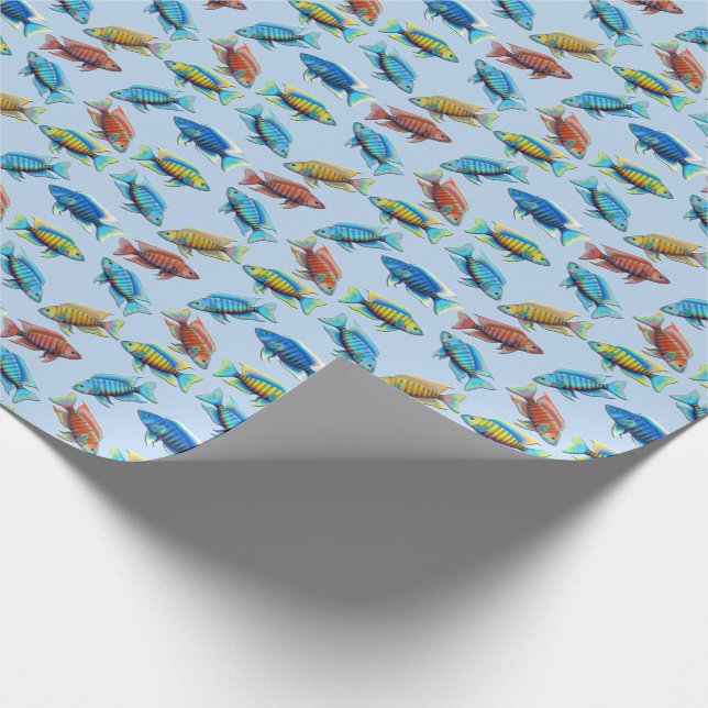Afrikanisches Pfaucichlid-Fisch-Packpapier Geschenkpapier (Ecke)