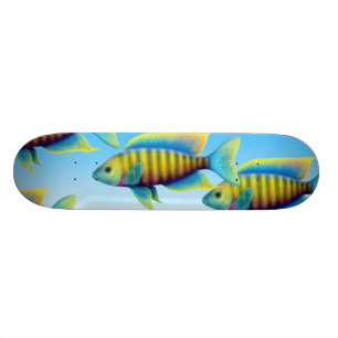 Afrikanisches Pfaucichlid-Fisch-Skateboard Skateboard