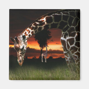 Afrikanisches Schulfeld Magnet