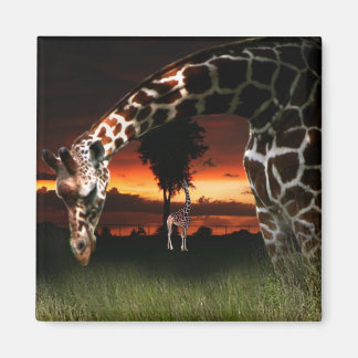 Afrikanisches Schulfeld Magnet