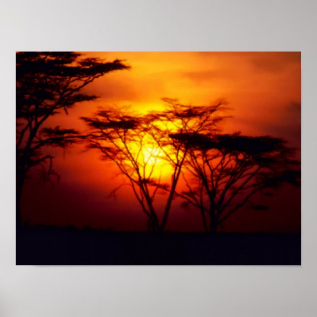 Afrikanisches Sonnenuntergangs-Poster Poster (Vorne)