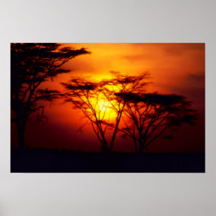 Afrikanisches Sonnenuntergangs-Poster Poster