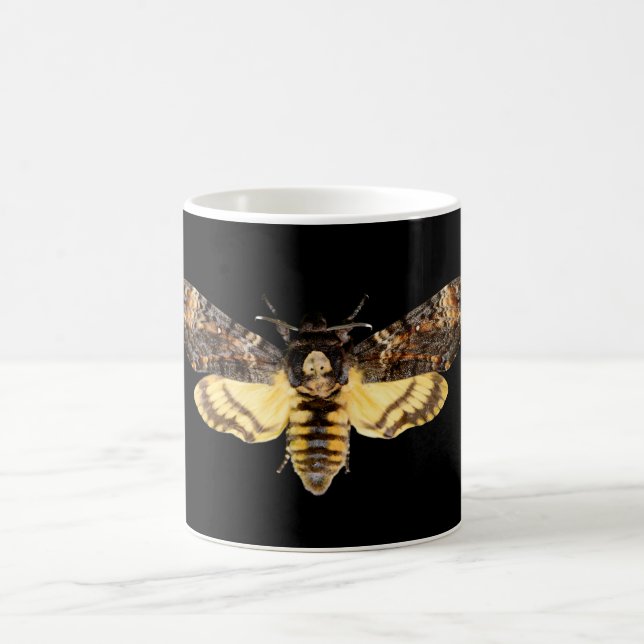 Afrikanisches Todeskopfschmetterlingsinsekt Achero Kaffeetasse (Mittel)