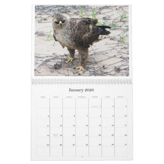 Afrikanisches Vogelleben tragen ein Kalender (Jan 2026)