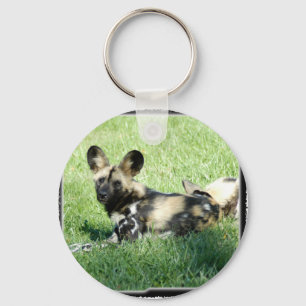 afrikanisches wildes dog_10x10 schlüsselanhänger