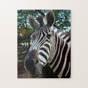 Afrikanisches Zebra. Puzzle