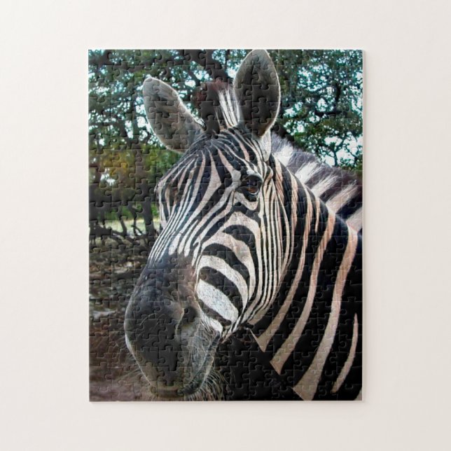 Afrikanisches Zebra. Puzzle (Vertikal)